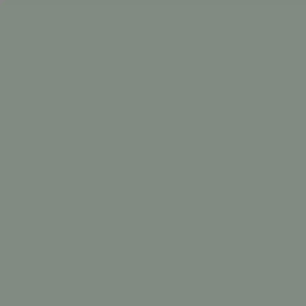 PEM_044 SP VERDE LIQUEN-codelsur