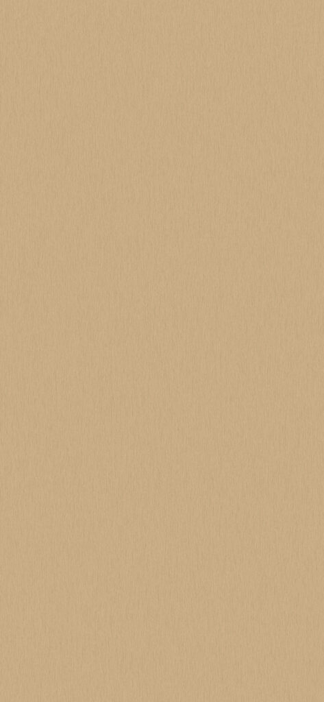 266 B CHAMPAN METALIZADO DESARROLLO